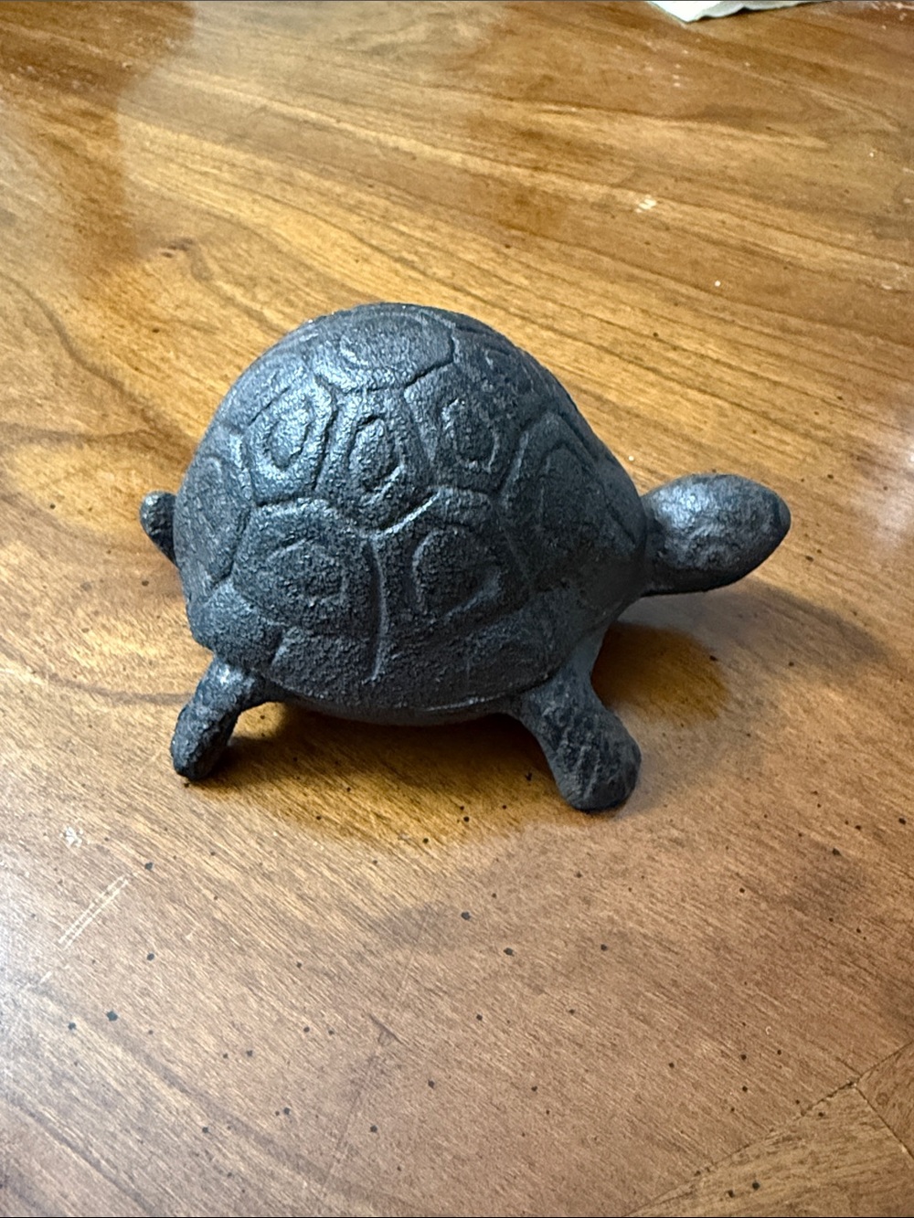 Cast Iron Turtle Hide-a-Key - Dark Gray